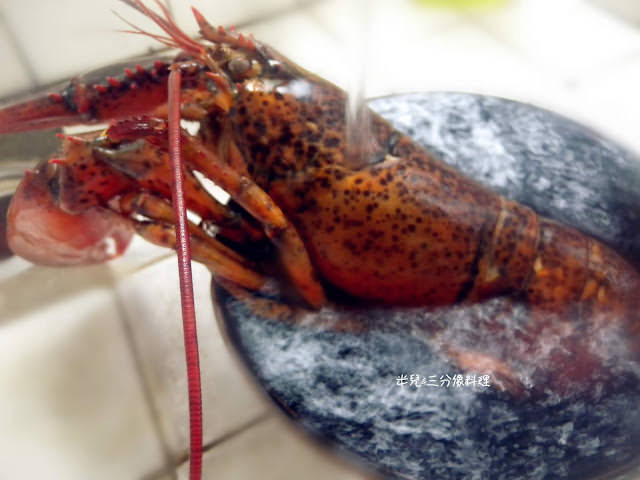 [宅配。食材海鮮] 鮮味家水產 宅配到家的水產新鮮又方便 食譜比例 焗烤波士頓龍蝦 胡椒鳳螺 香煎爆汁雞肉捲