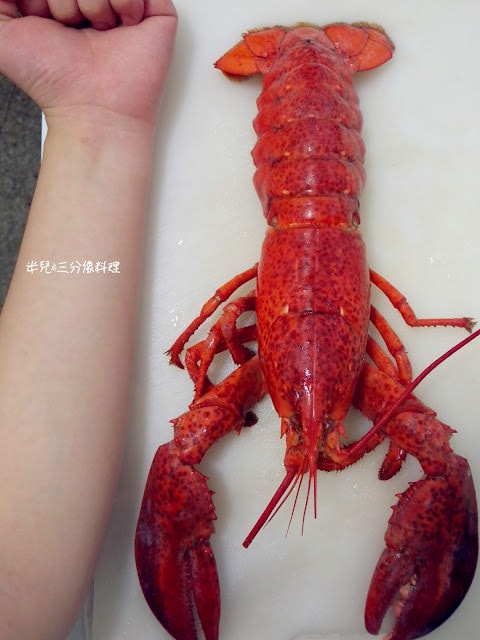[宅配。食材海鮮] 鮮味家水產 宅配到家的水產新鮮又方便 食譜比例 焗烤波士頓龍蝦 胡椒鳳螺 香煎爆汁雞肉捲