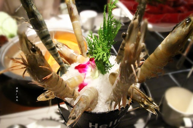 【新北市永和區。火鍋】肉多多火鍋永和竹林店 自助吧 菜單價位