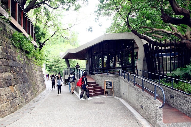 【台北市北投區。旅遊景點】北投地熱谷 天然美景 很好拍照取景  IG照取景 新北投站